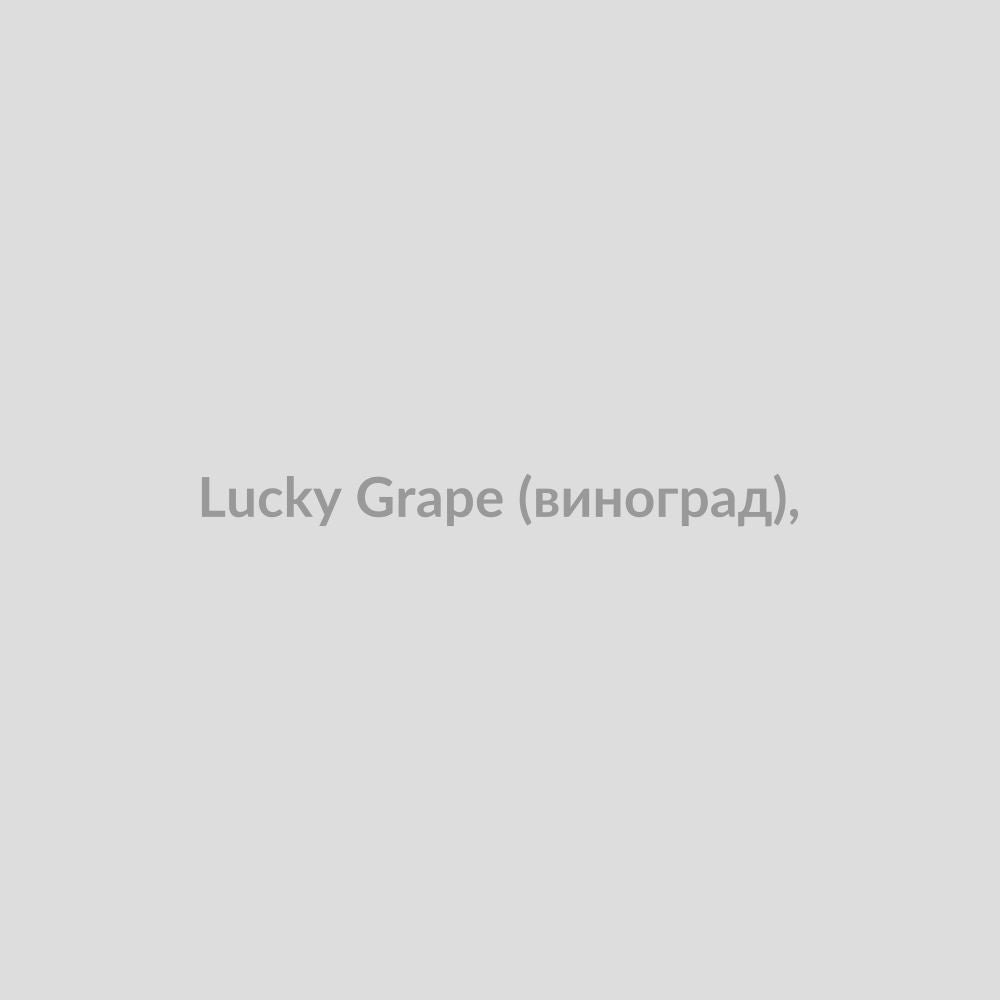 Набор для самозамісу Lucky 30 мл Grape (виноград),