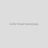 Набор для самозамісу Lucky 30 мл Grape (виноград),