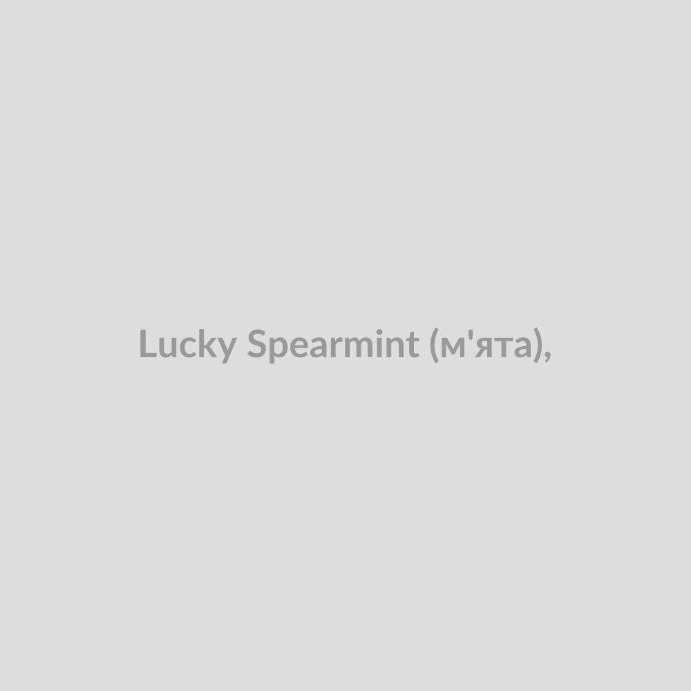 Набор для самозамісу Lucky 30 мл Spearmint (м'ята),