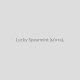 Набор для самозамісу Lucky 30 мл Spearmint (м'ята),