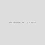 Набор для самозамісу ALCHEMIST 30 мл CACTUS & BASIL